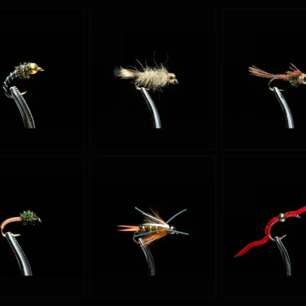 Top Nymph Assortment