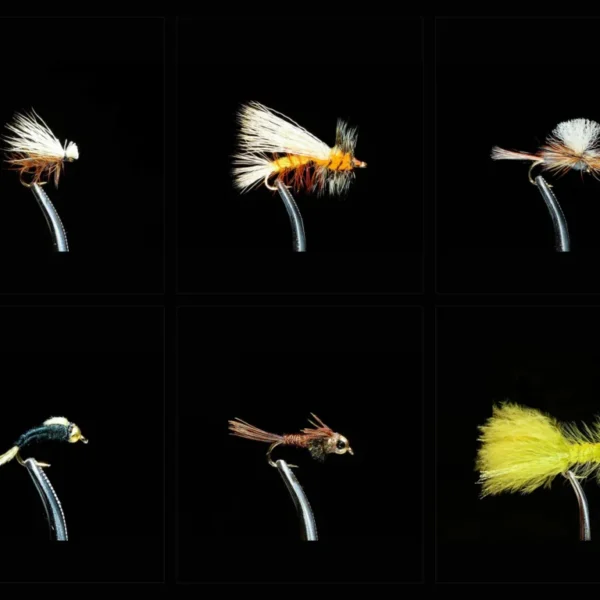 Top Trout Assortment
