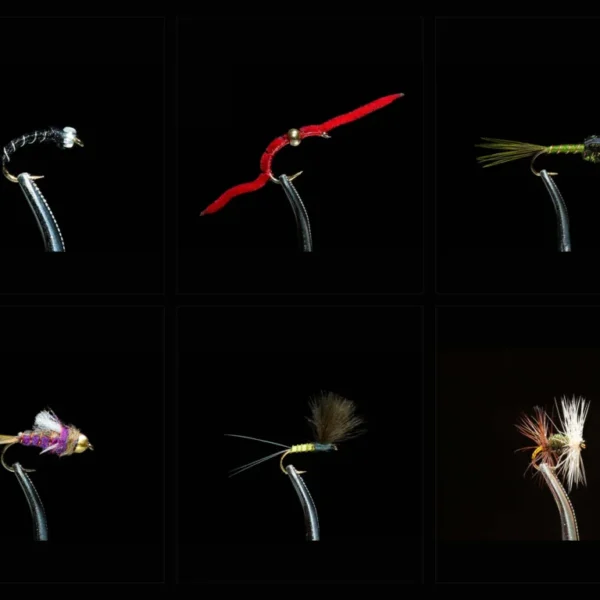 Winter Assortment