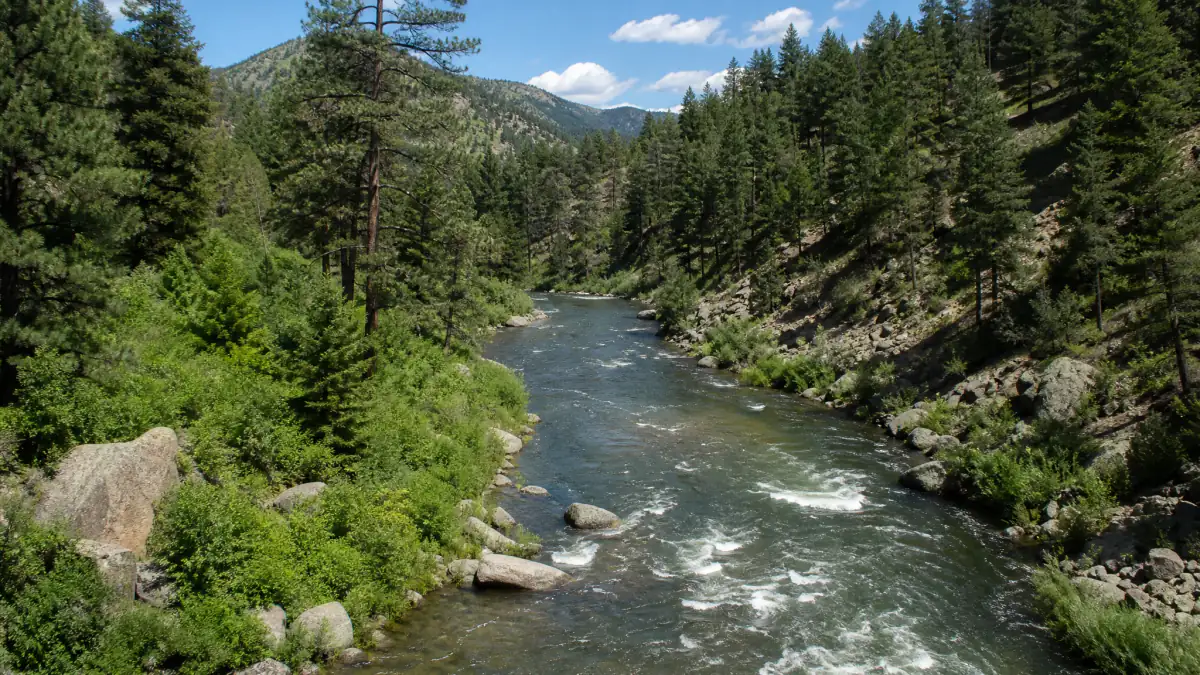 Complete Guide to Fly Fishing the South Platte River in Colorado river view