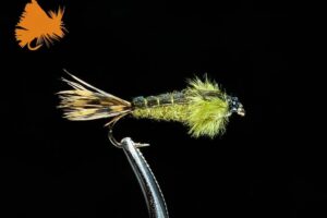 Improved_Pheasant_Tail-Olive