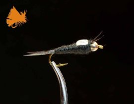 Beadhead Biot Stonefly