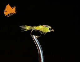 beadhead-hares-ear-olive-sku-542