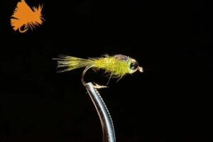 beadhead-hares-ear-olive-sku-542