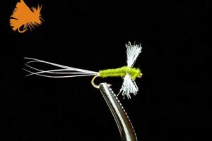 bwo-spinner-fly-olive-sku-902