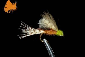cdc-blue-wing-olive-cripple-emerger-olive-sku-57