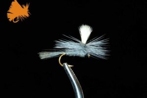 parachute-blue-dun-blue-sku-151