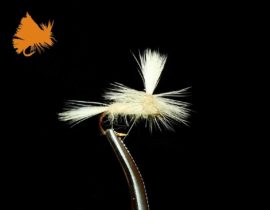 Parachute Cahill Light