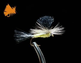 Parachute Green Drake