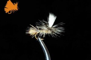 parachute-hares-ear-natural-sku-155