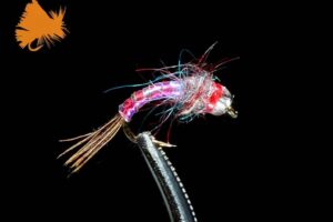 rainbow-warrior-rainbow-sku-1203