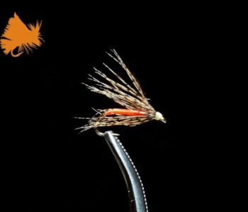 Soft Hackle Attractor - Orange