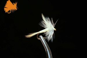 Thorax Pale Morning Dun